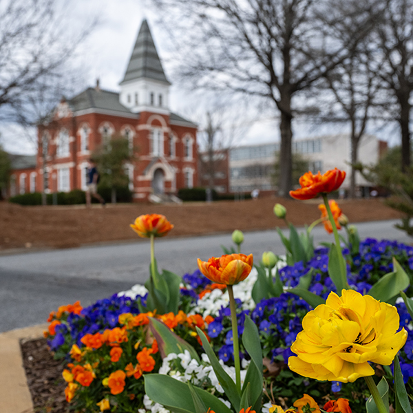 image of spring flowers with Hargis Hall in the background