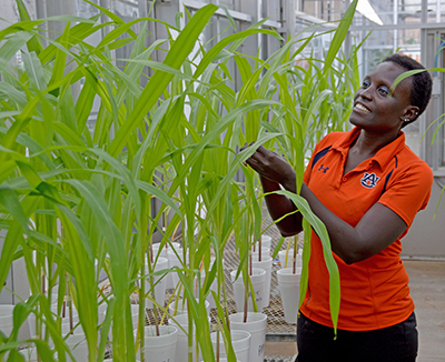 Auburn researcher, world hunger advocate Esther Ngumbi makes a difference in Africa and beyond